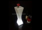 Lampe incluse à piles à télécommande des pots de fleur de LED RVB LED fournisseur