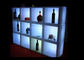 Le plastique LED a allumé les étagères de barre/affichage arrière de boisson alcoolisée de barre avec à piles fournisseur