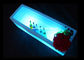 Couleurs lumineuses du seau à glace du rectangle LED seize changeant pour l'affichage de vin fournisseur