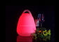 La lanterne à piles en plastique de LED allume la couleur de RVB changeant avec la poignée portative fournisseur