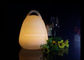 La lanterne à piles en plastique de LED allume la couleur de RVB changeant avec la poignée portative fournisseur