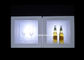 Seau à glace à télécommande de la place LED rechargeable pour l'affichage de vin de barre fournisseur