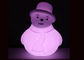 Décoration colorée de Noël de bonhomme de neige d'éclairage d'aspect blanc à piles de PE fournisseur